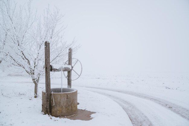 Bien sur le champ d'hiver