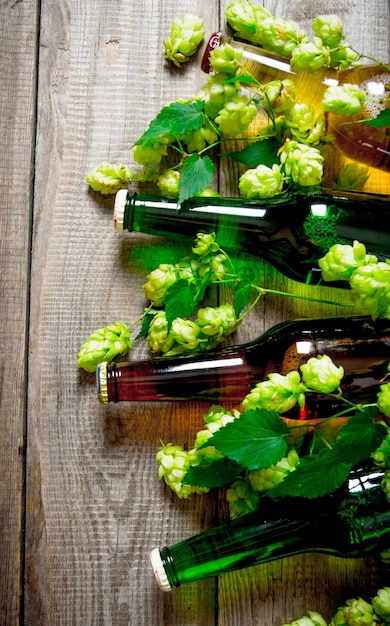 Bière et houblon vert sur une table en bois.