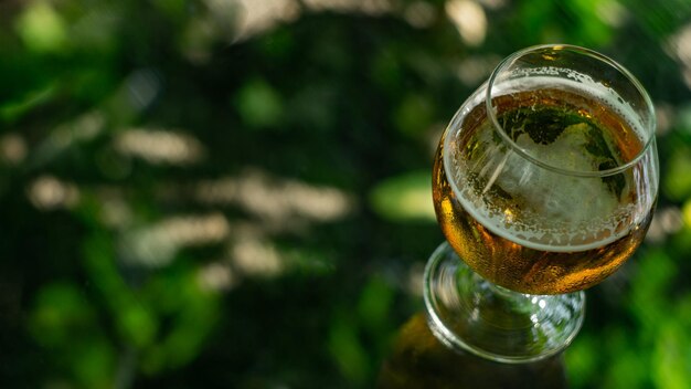 bière légère en verre sur fond vert