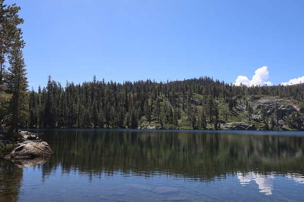 Photo big bear lake à la forêt d'eureka plumas en californie