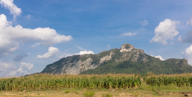 Photo big mountain avec fond de ciel et nuage