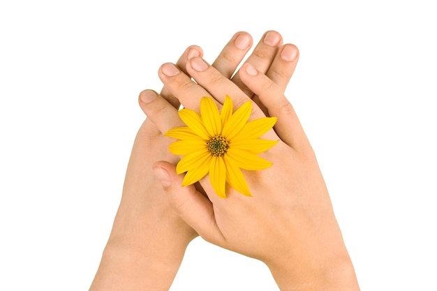 Bijoux de bague de mariage fleur jaune sur les poignets de la femme tournesol sur les mains féminines sur fond blanc