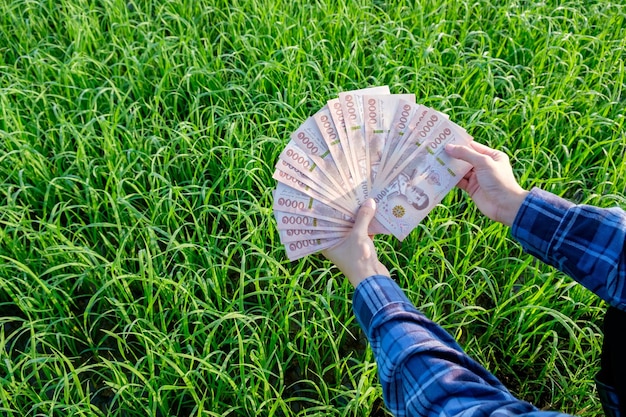 Les billets de banque thaïlandais sont détenus par des agricultrices dans des fermes vertes