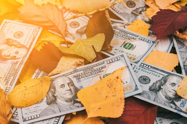 Billets de cent dollars dans le feuillage d'automne Billets en dollars américains assis sur un fond de feuille d'automne