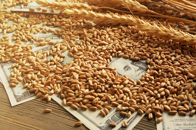 Billets en dollars et grains de blé Concept de revenu agricole