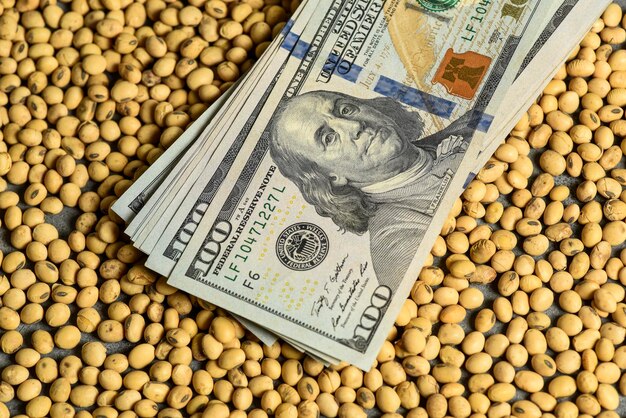 Billets et pièces en dollars et concept de valeur des marchandises de soja