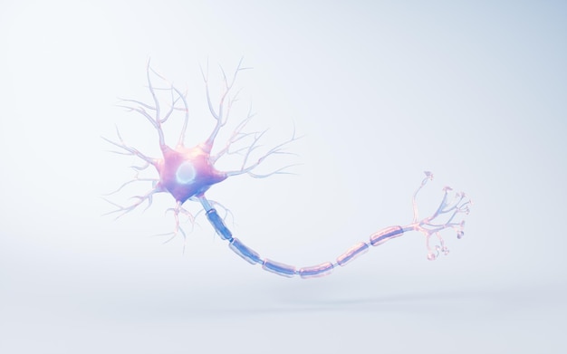 Biologie cellule nerveuse avec concept de biomédecine rendu 3D