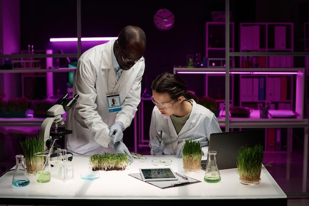 Photo des biologistes travaillent en équipe sur un échantillon de plante cultivée en laboratoire