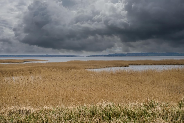 Bird Lookout Pramort sur le vaste paysage darss avec des nuages spectaculaires