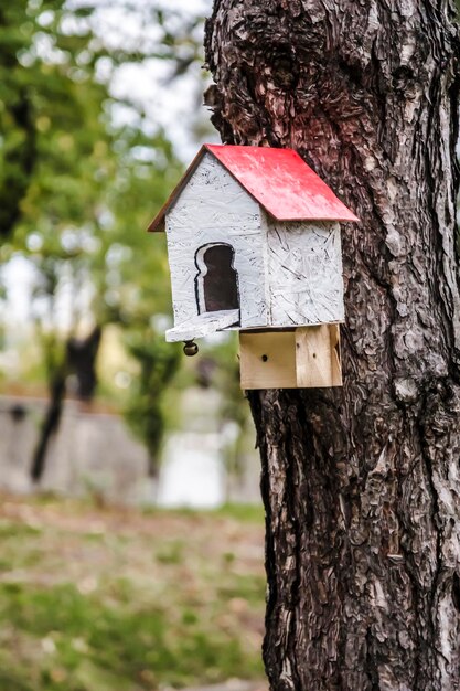 Birdhouse sur un arbre