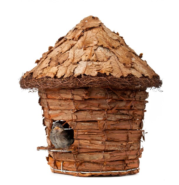 Birdhouse avec petit moineau