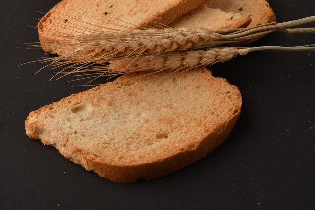 biscotte et blé