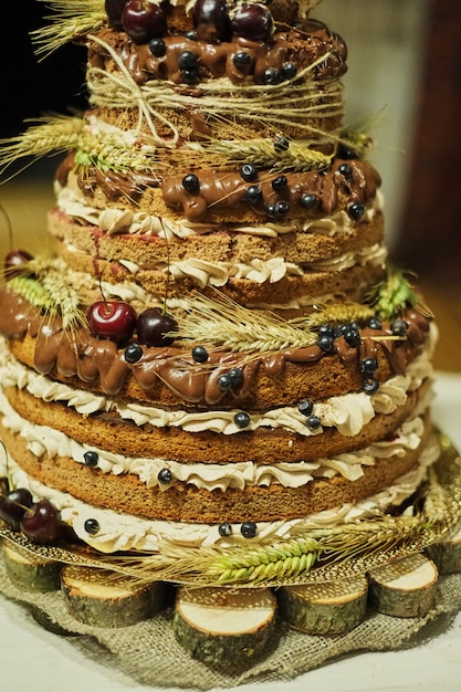 Biscuit aux fruits gâteau de mariage multicolore