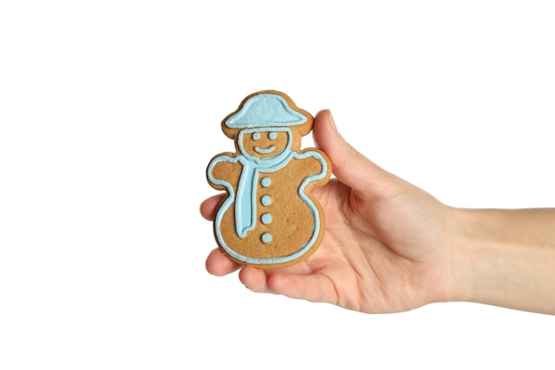 Biscuit de Noël