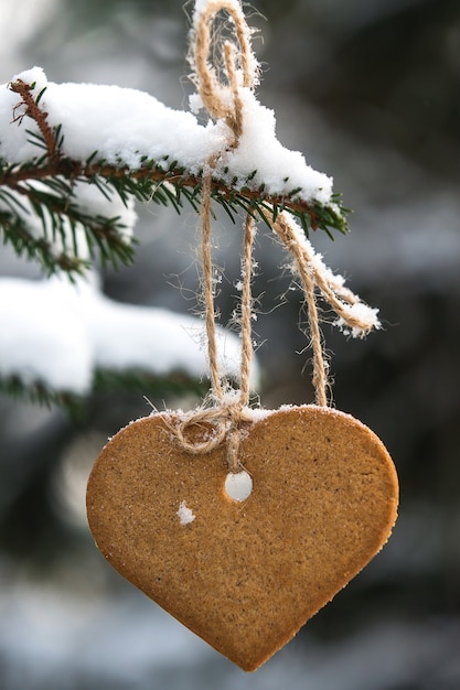 Biscuit de pain d'épice suspendu à une branche d'épinette. Jour d'hiver.