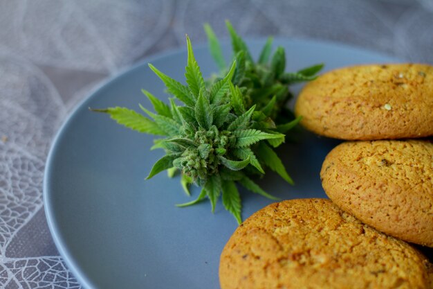 Biscuits au cannabis et bourgeons de marijuana dans l'assiette. Boîte de bourgeons de cannabis CBD. Marijuana légale médicale.