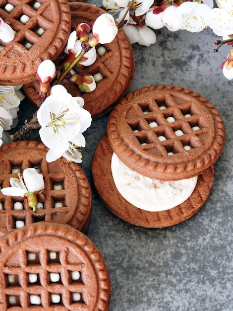 Biscuits au chocolat à la crème blanche. Fleurs blanches de Sakura.