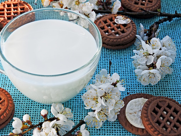 Biscuits au chocolat avec crème blanche et fleurs de sakura