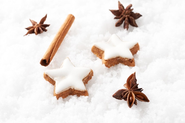 Biscuits étoiles au chocolat et aux noix Biscuits de Noël dans la neige.