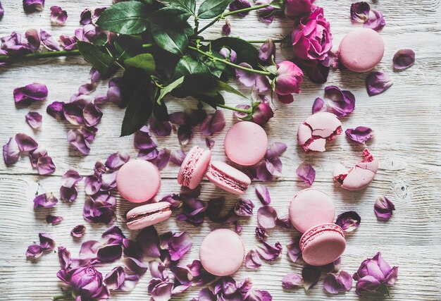 Biscuits macaron rose doux et fleurs et pétales de rose