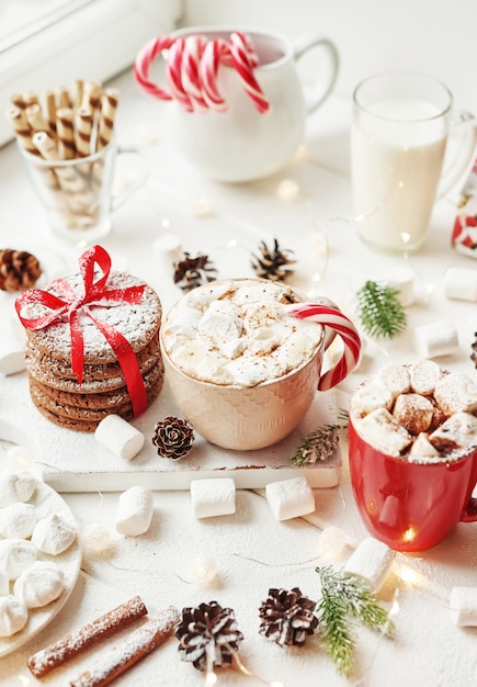 Biscuits de Noël, lait, cacao, guimauves, bonbons sur une assiette blanche près de la fenêtre