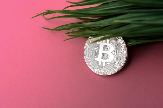 Bitcoin d'argent dans l'herbe verte