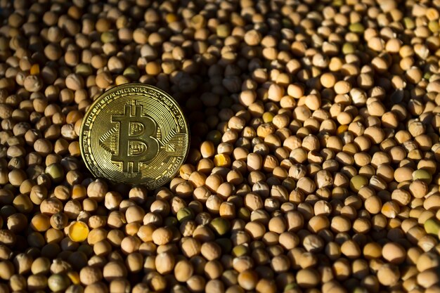 Photo bitcoin dans le contexte des pois jaunes achetant de la nourriture avec des bitcoins