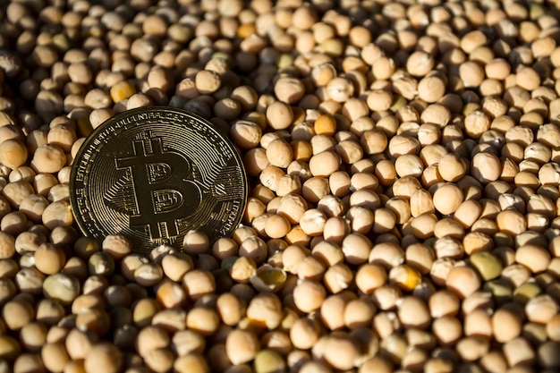 Bitcoin dans le contexte des pois jaunes achetant de la nourriture avec des bitcoins