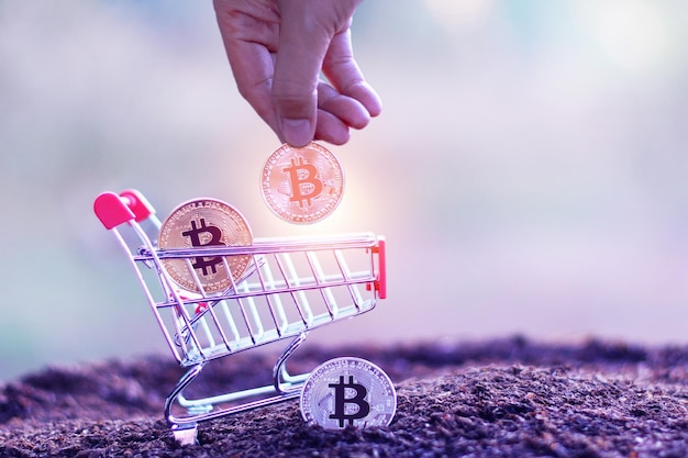 Bitcoin in Shopping CartMain tenant quelques morceaux de jeton Bitcoin doré dans le panier