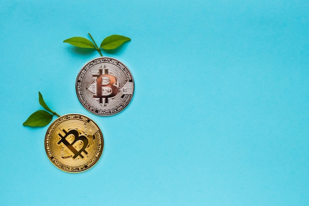 Photo bitcoins avec feuilles sur fond bleu