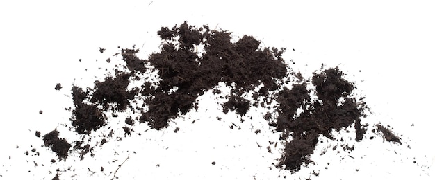 Black Fertilise Soil prêt à planter de bons sols organiques avec racines pour l'agriculture de jardin