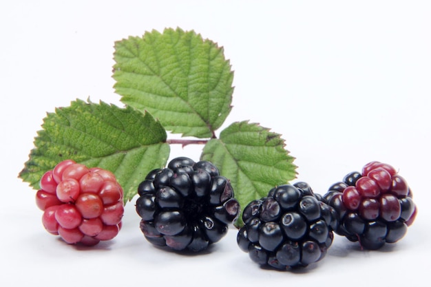 Blackberry fruit