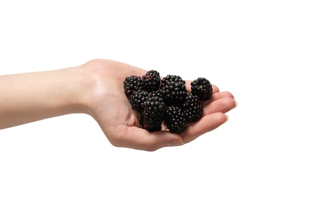 Blackberry savoureux conservés dans les mains isolés sur fond blanc. Vue de dessus.