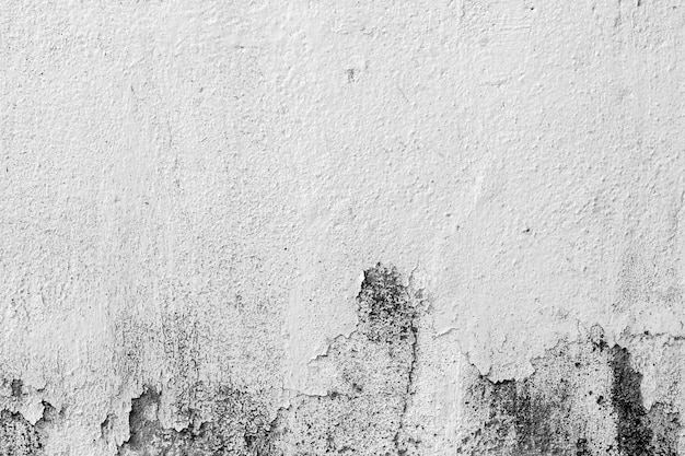 Blanc béton texture du mur