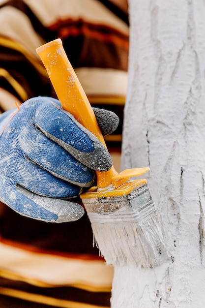 Blanchiment à la chaux des arbres de printemps, protection contre les insectes et les parasites. Blanchiment des arbres au printemps. Jardinage et agriculture, actions protectrices.