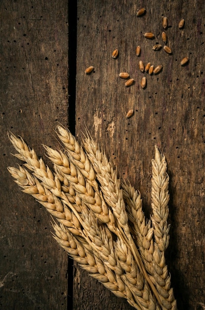 Le blé en gros plan sur la table