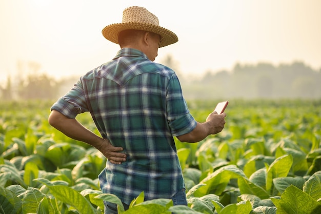 Blessures ou maladies pouvant survenir aux agriculteurs pendant le travail L'homme utilise sa main pour se couvrir la taille à cause d'une douleur ou d'un malaise