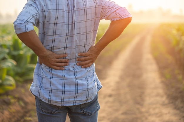 Blessures ou maladies pouvant survenir aux agriculteurs pendant le travail L'homme utilise sa main pour se couvrir la taille à cause d'une douleur ou d'un malaise