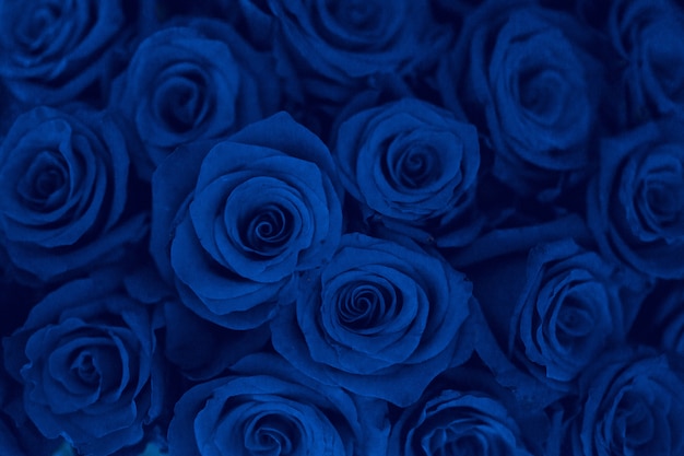 le bleu classique est la couleur de l'année 2020 - fond de fleurs naturelles