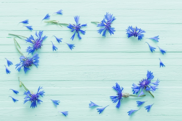 Bleuets bleus sur bois