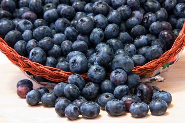 Bleuets dans le panier