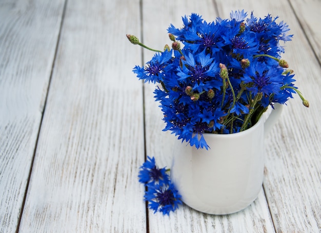 Bleuets dans un vase