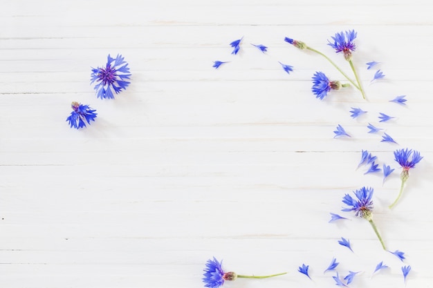 Photo bleuets sur fond de bois blanc