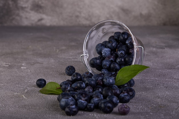 Bleuets frais dispersés dans un seau transparent sur un béton gris