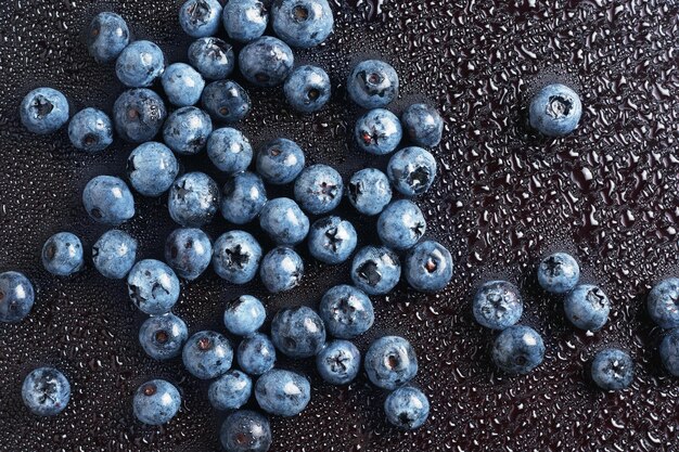 Bleuets avec des gouttes d'eau