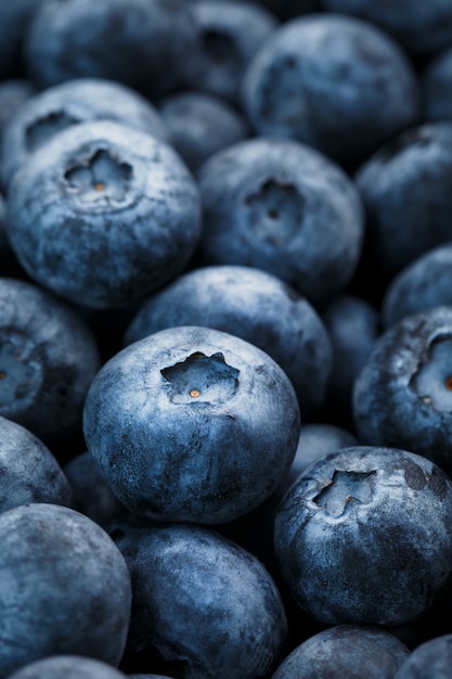 Bleuets juteux et mûrs se bouchent