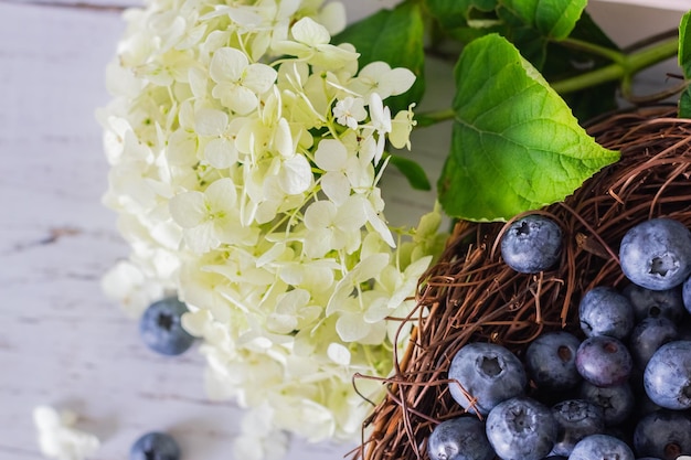 Bleuets mûrs Les bleuets sont dans un panier de vigne avec des fleurs d'hortensia à proximité