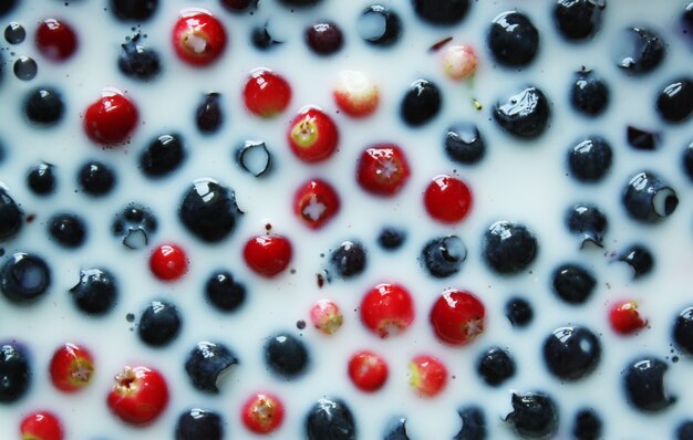 Photo bleuets mûrs frais et canneberges erries dans du lait.