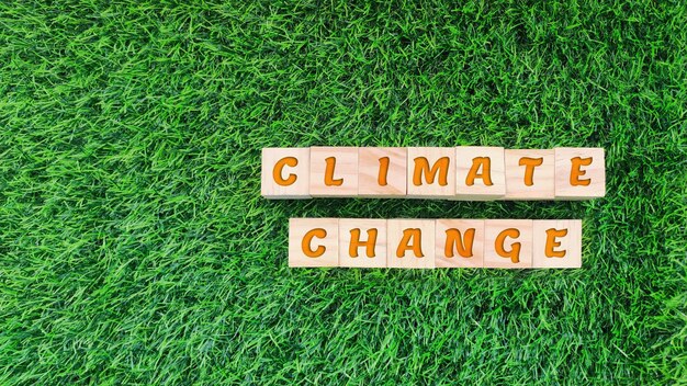 bloc en bois avec un texte sur le changement climatique sur fond d'herbe concept environnemental de durabilité