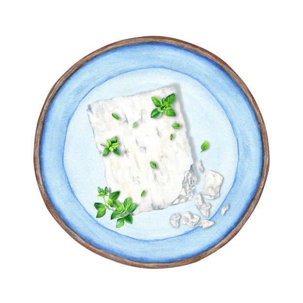Bloc de fromage feta grec et composition d'herbes de thym dans la plaque bleue Illustration aquarelle isolée sur fond blanc